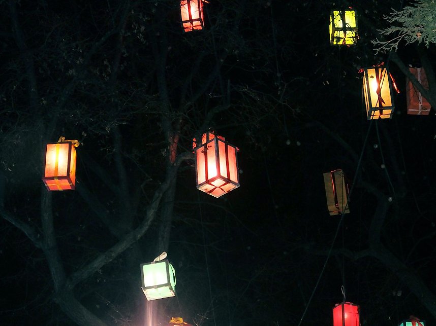 Besuch des Erfurter Weihnachtsmarktes