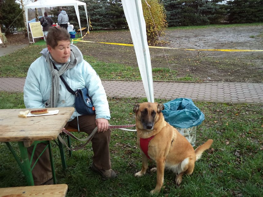 Weihnachtsmarkt im Tierheim