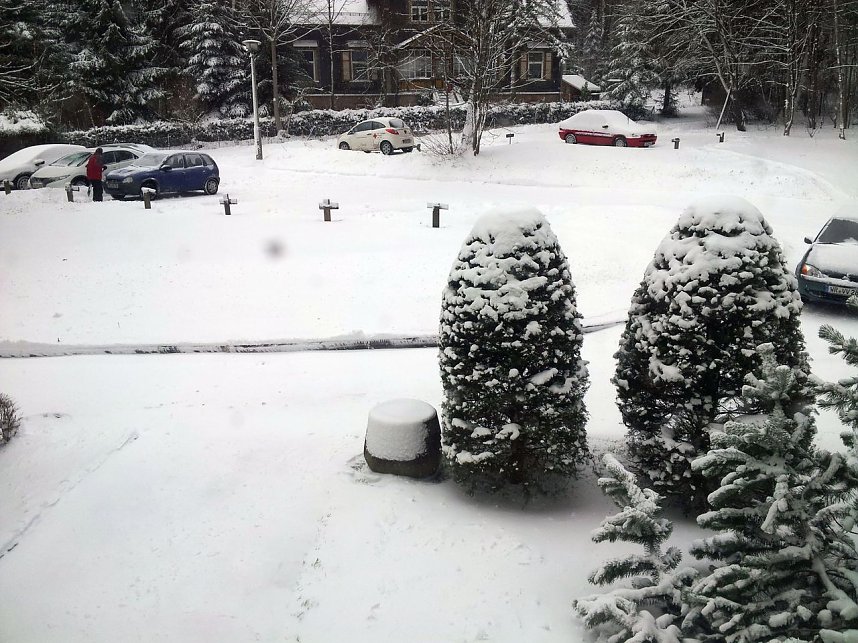 Schnee in Benneckenstein