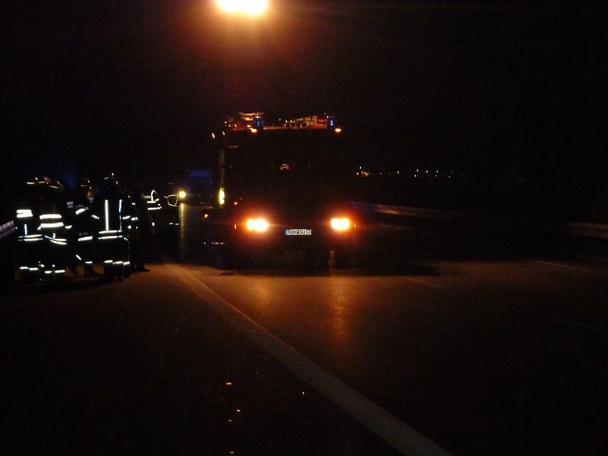 Wildschweine &uuml;berfahren