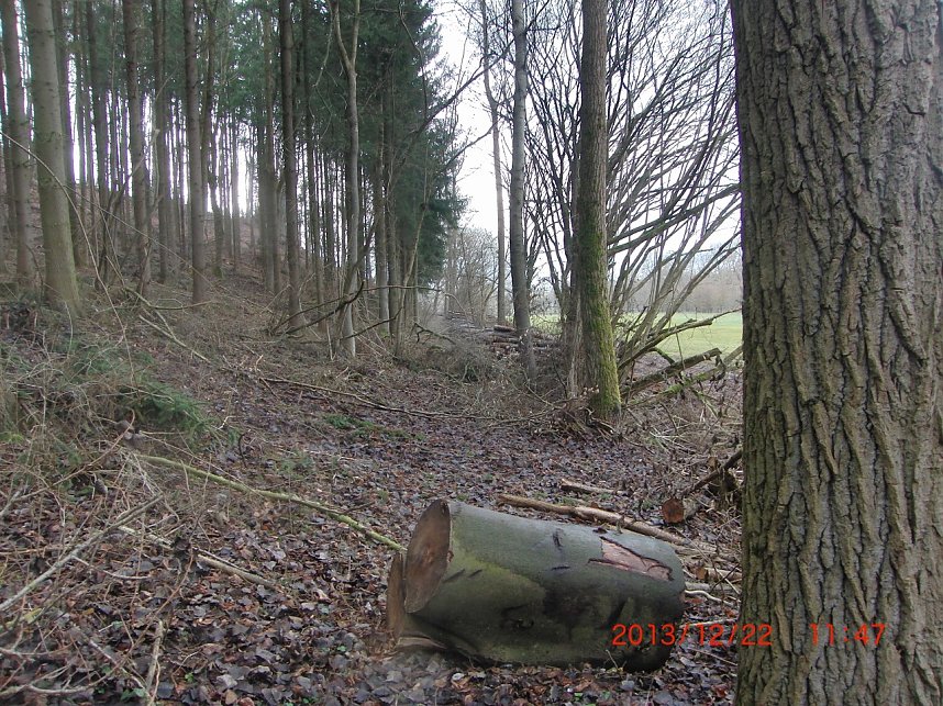 Das war einmal der Karstwanderweg