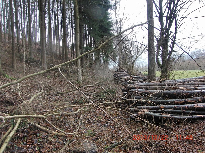 Das war einmal der Karstwanderweg