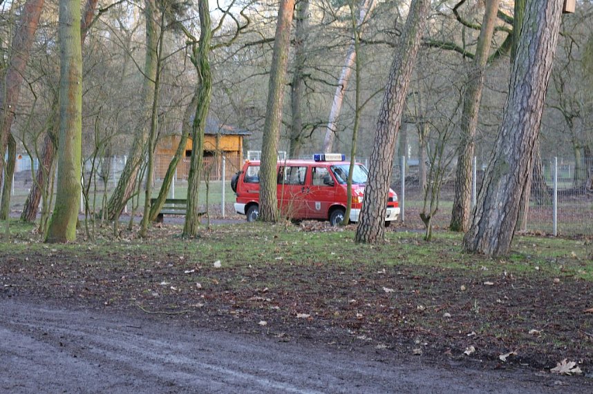 Vandalismus im Gehege