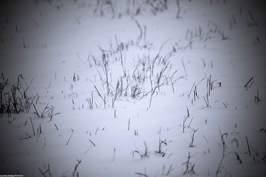 Winterliche Impressionen