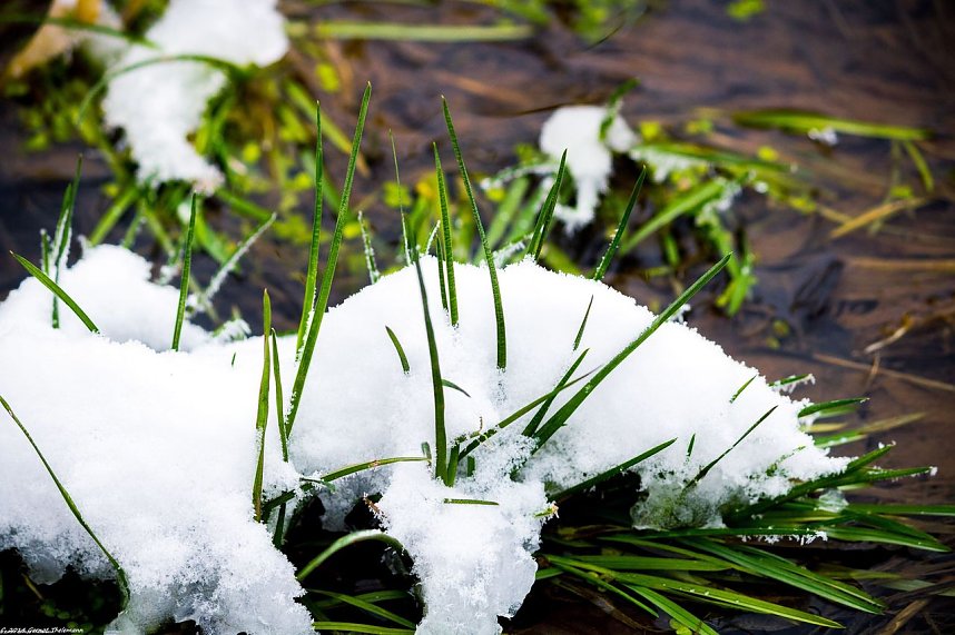 Winterliche Impressionen