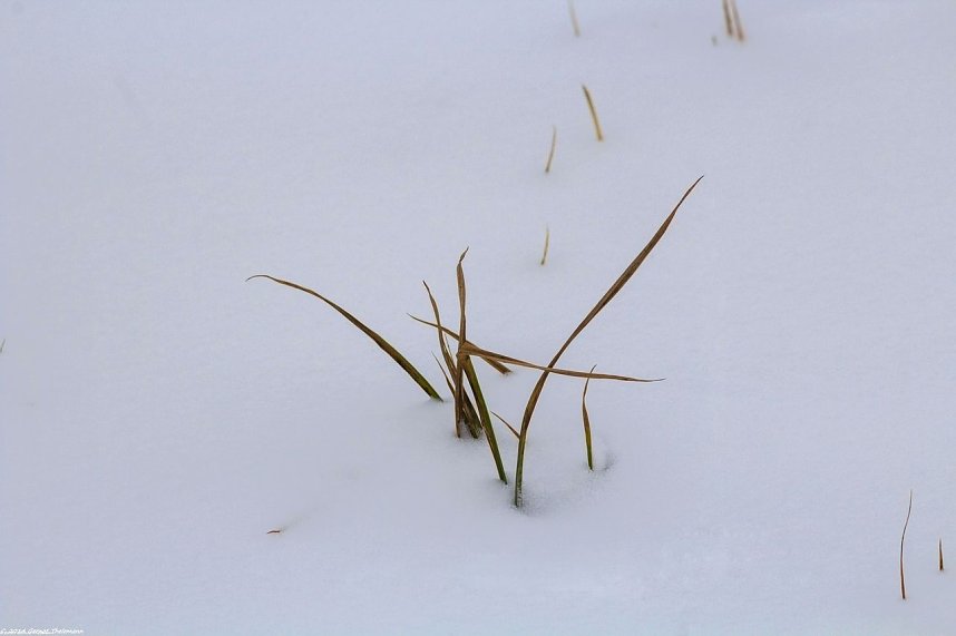 Winterliche Impressionen