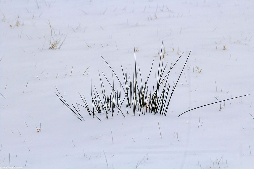 Winterliche Impressionen