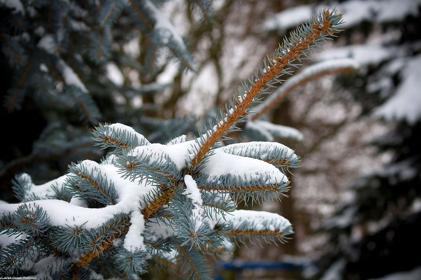 Winterliche Impressionen