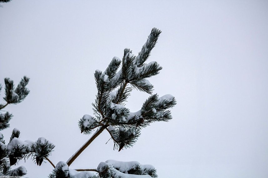 Winterliche Impressionen