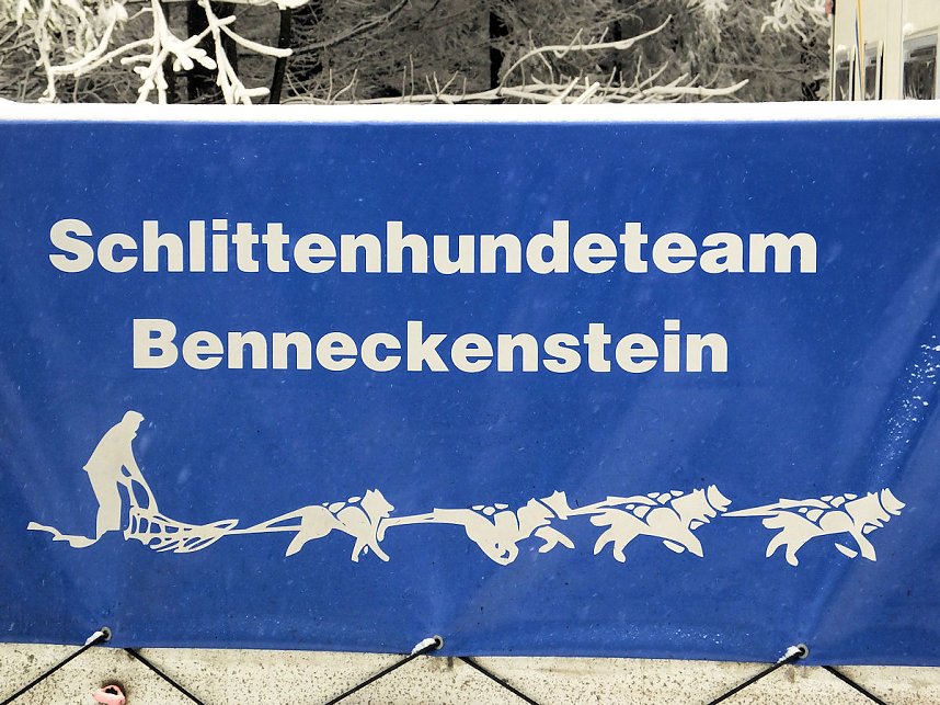 Schlittenhunderennen in Benneckenstein