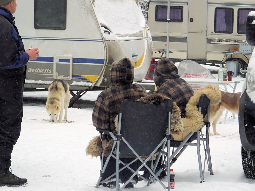 Schlittenhunderennen in Benneckenstein