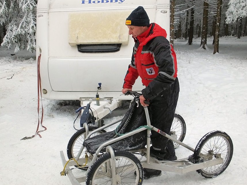 Schlittenhunderennen in Benneckenstein