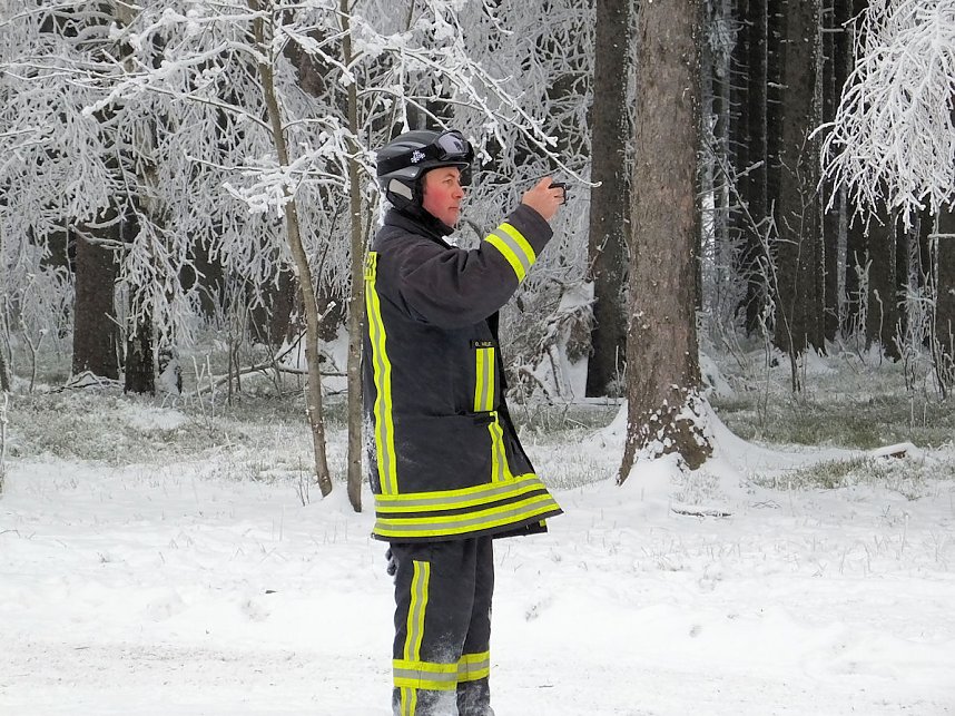 Schlittenhunderennen in Benneckenstein