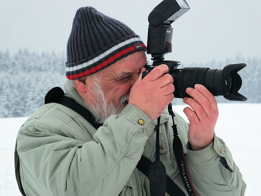 Schlittenhunderennen in Benneckenstein