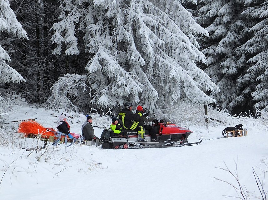 Schlittenhunderennen in Benneckenstein