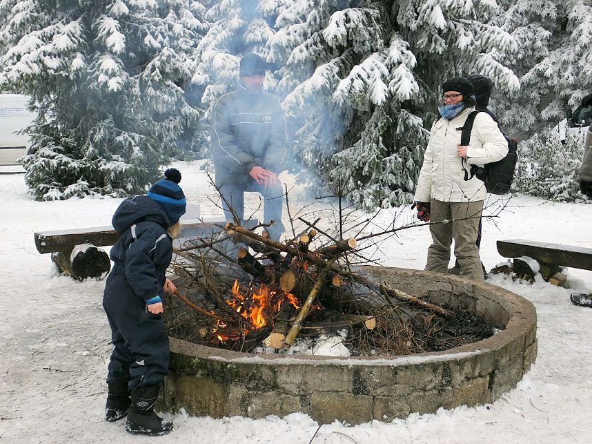 Schlittenhunderennen in Benneckenstein