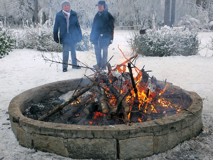 Schlittenhunderennen in Benneckenstein