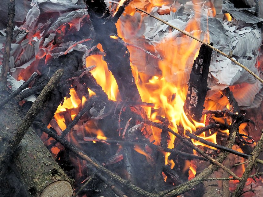 Schlittenhunderennen in Benneckenstein