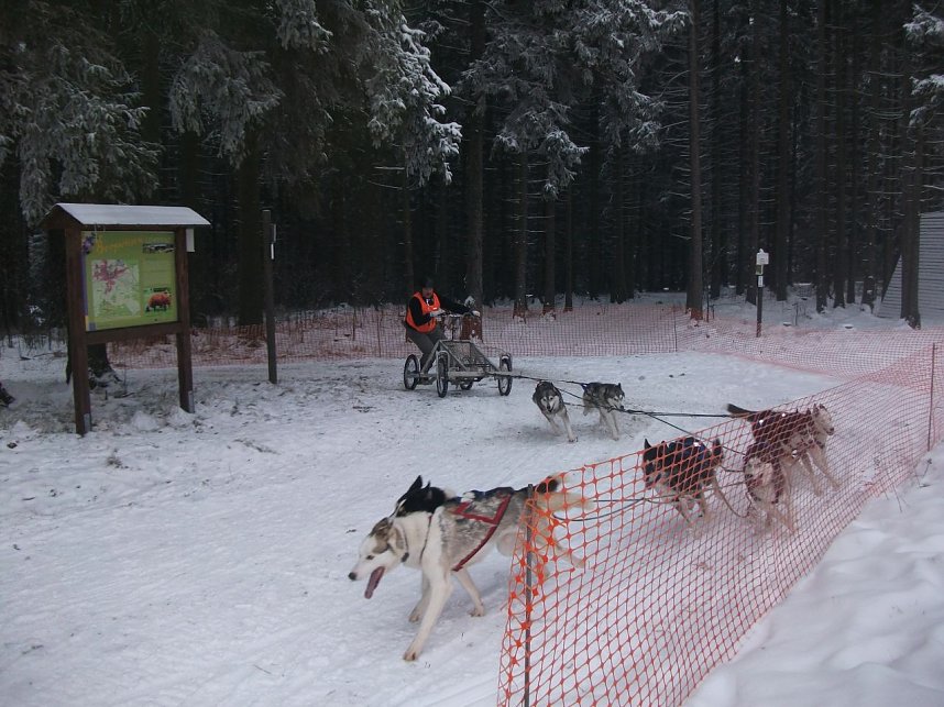 Im Einsatz in Benneckenstein