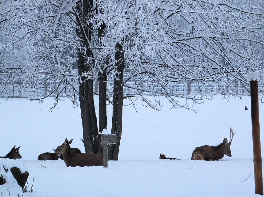 Der Oberharz am Brocken