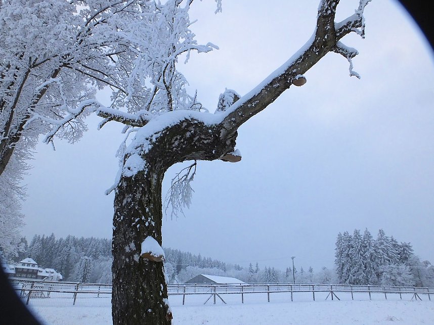 Der Oberharz am Brocken