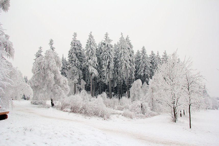 Der Oberharz am Brocken