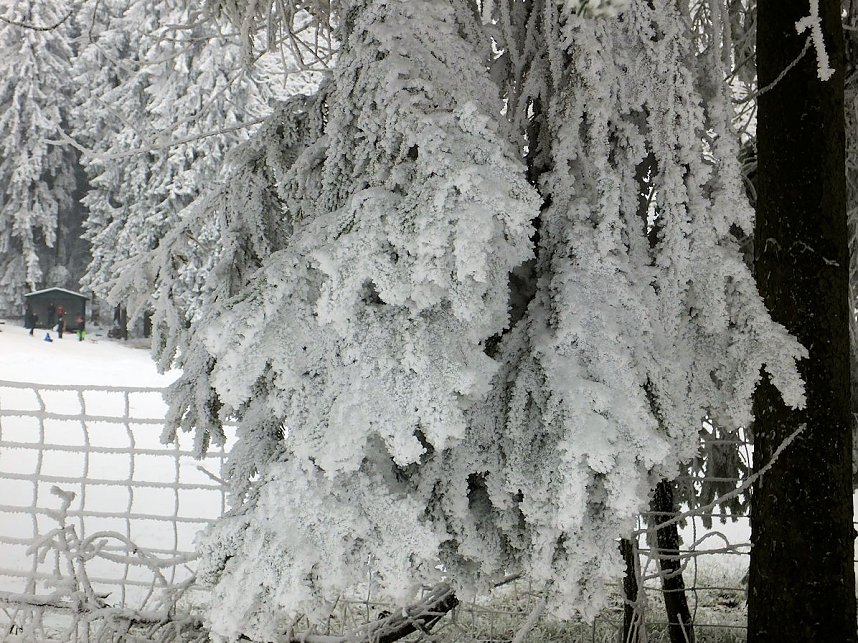 Der Oberharz am Brocken