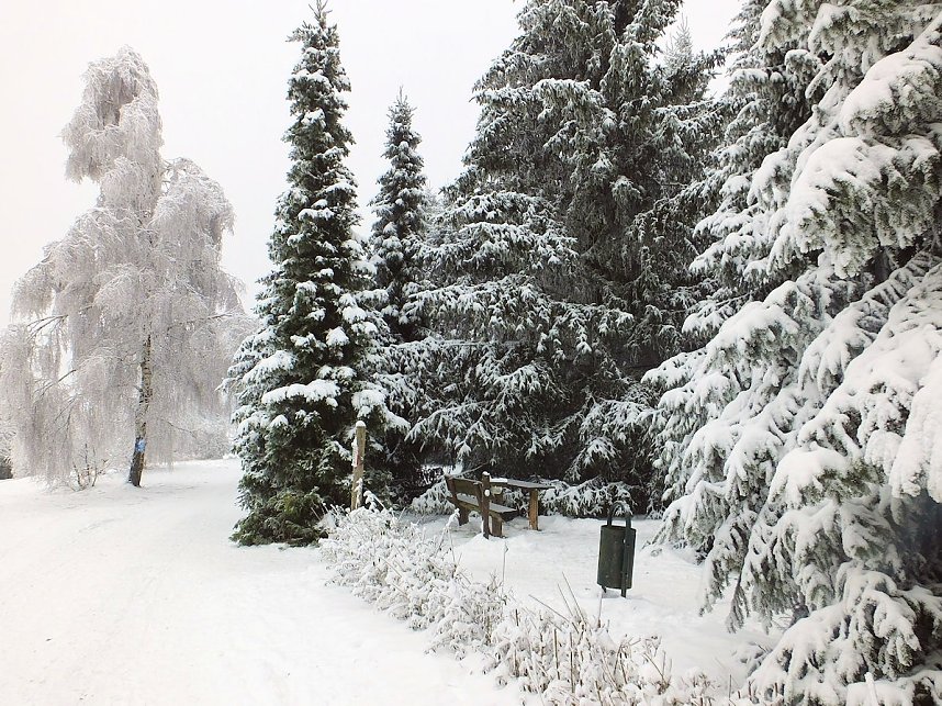 Der Oberharz am Brocken