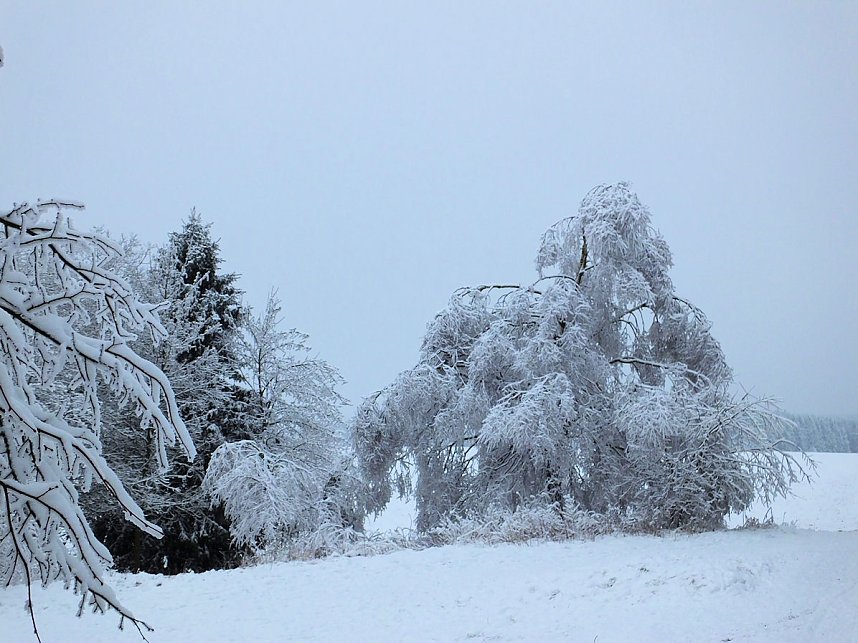 Der Oberharz am Brocken