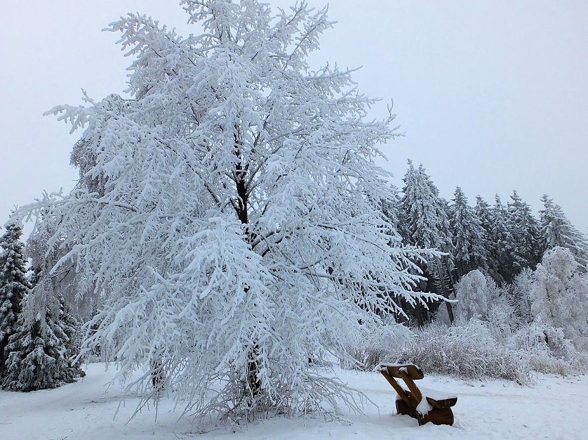 Der Oberharz am Brocken