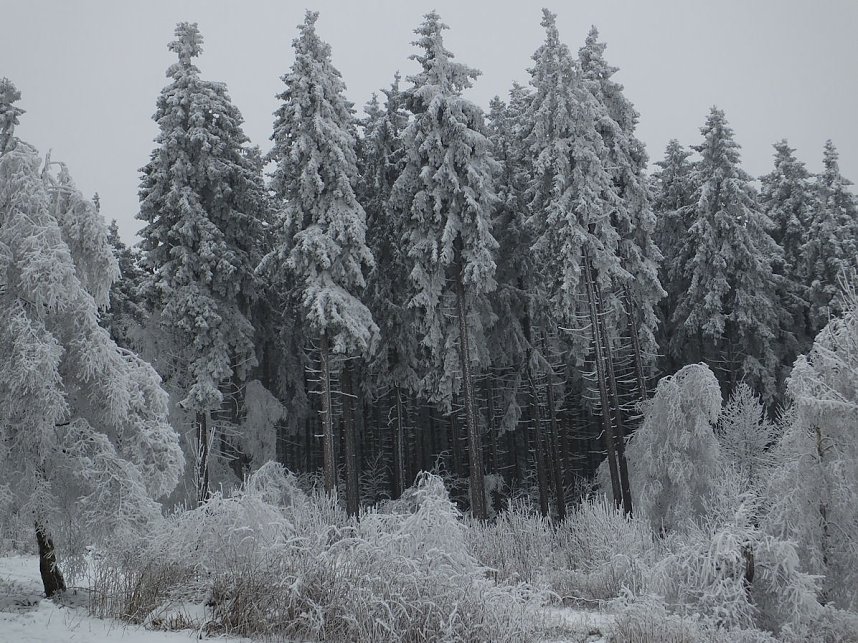 Der Oberharz am Brocken
