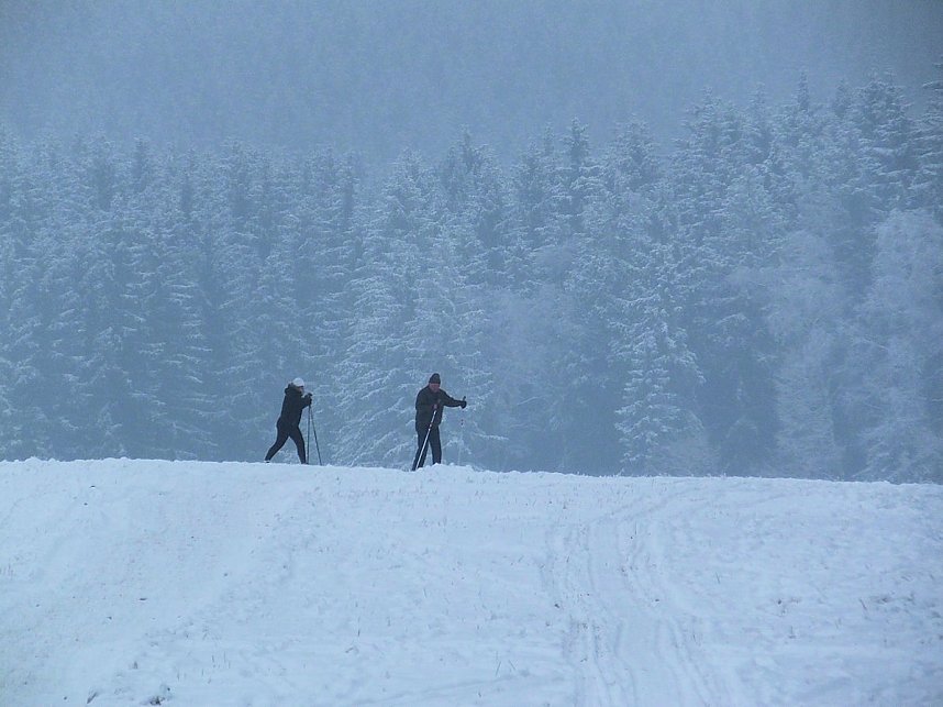 Der Oberharz am Brocken