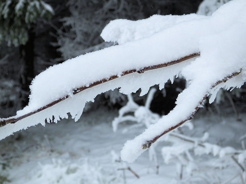 Der Oberharz am Brocken