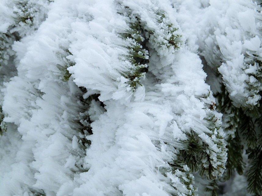 Der Oberharz am Brocken
