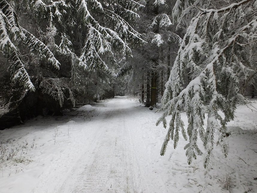 Der Oberharz am Brocken