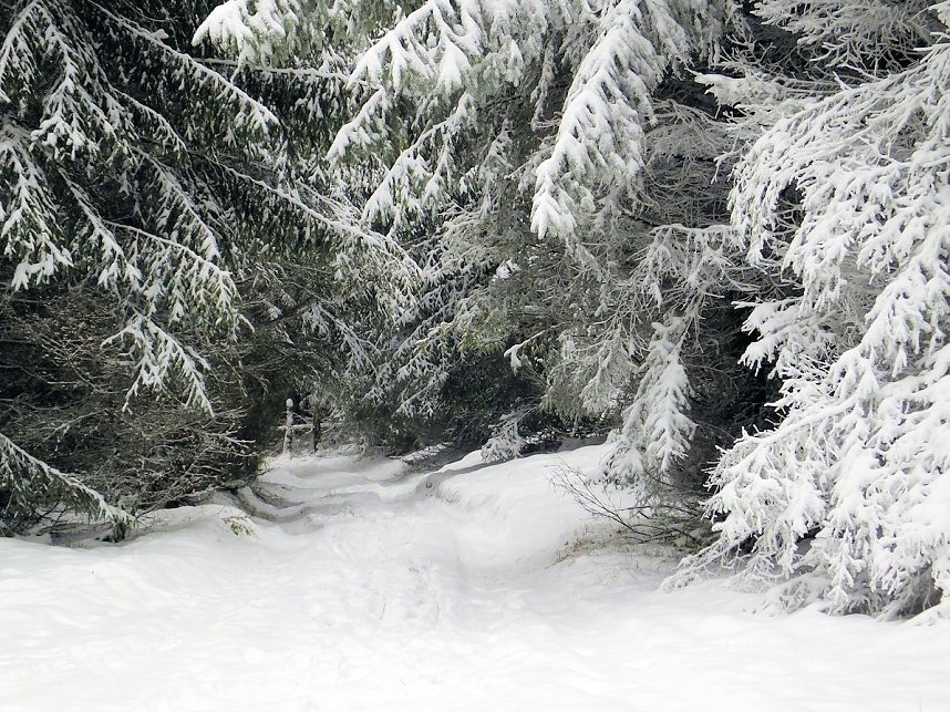 Der Oberharz am Brocken
