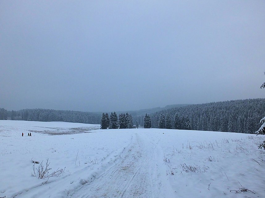 Der Oberharz am Brocken
