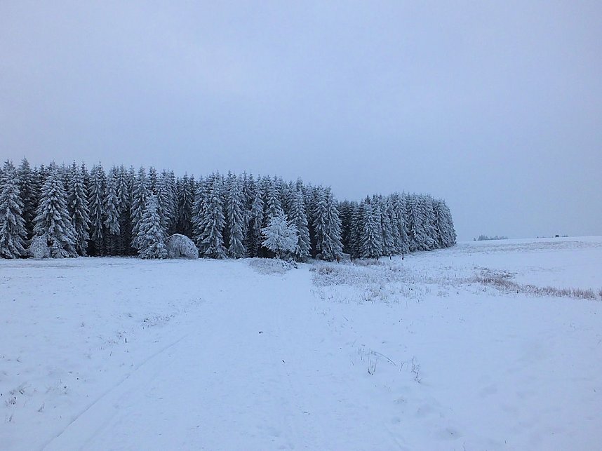 Der Oberharz am Brocken