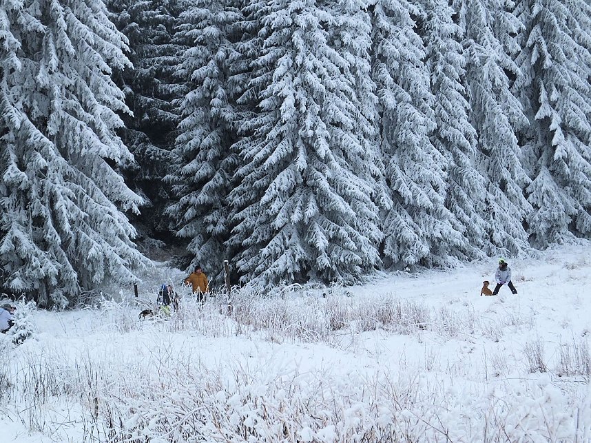 Der Oberharz am Brocken