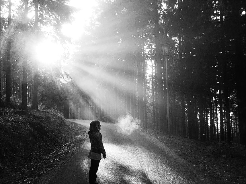 2.Platz_..Atmen im Wald... - Stefan Scharfe