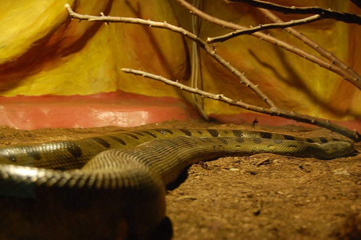 Nanderwanderung im  Nordh&auml;user Zoo nnz-City Scout on Tour