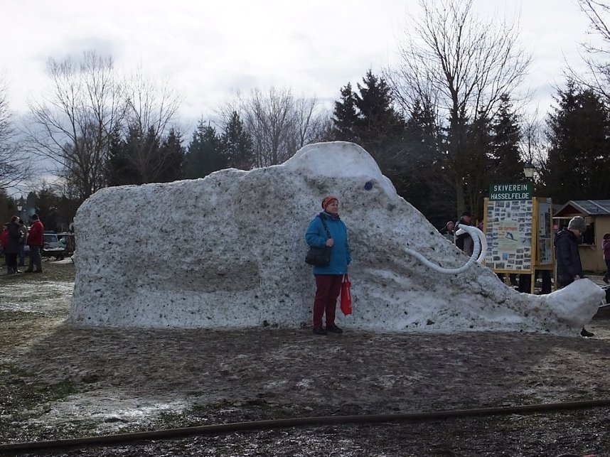 Winterm&auml;rchen in Hasselfelde