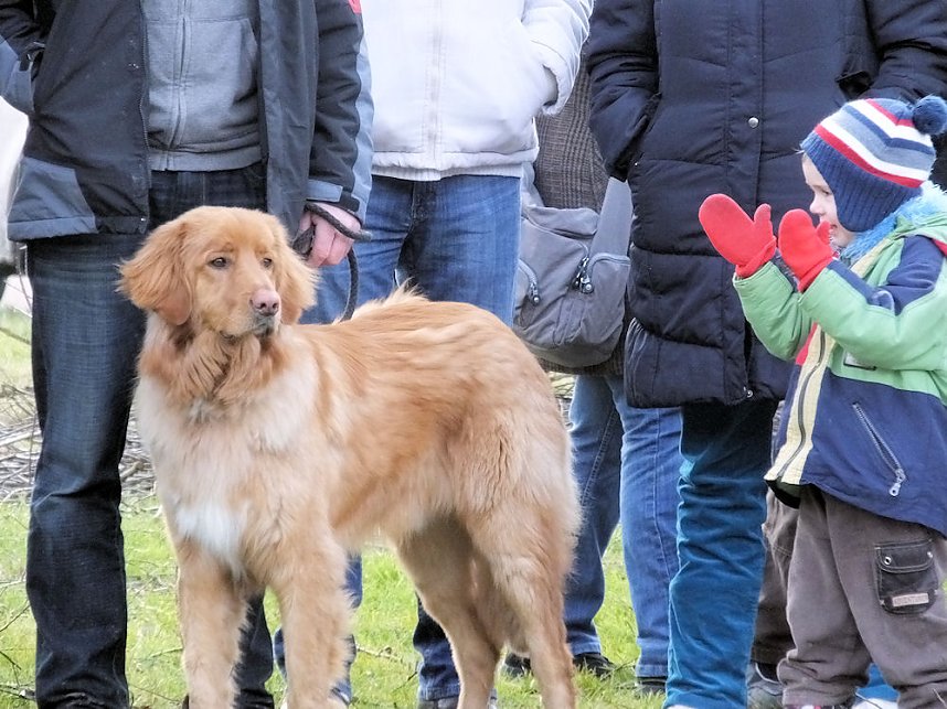 Winterm&auml;rchen in Hasselfelde