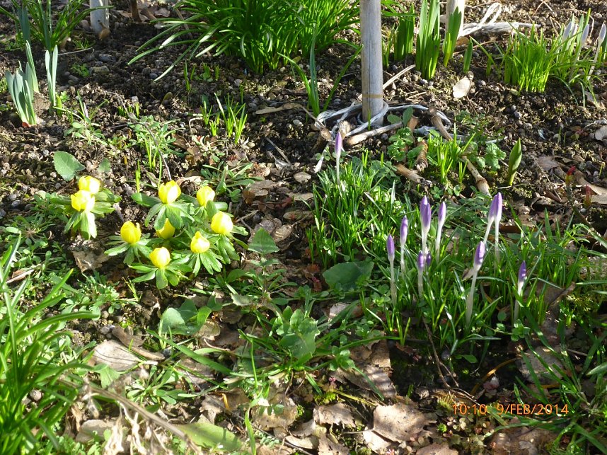 Durch den S&uuml;dharz