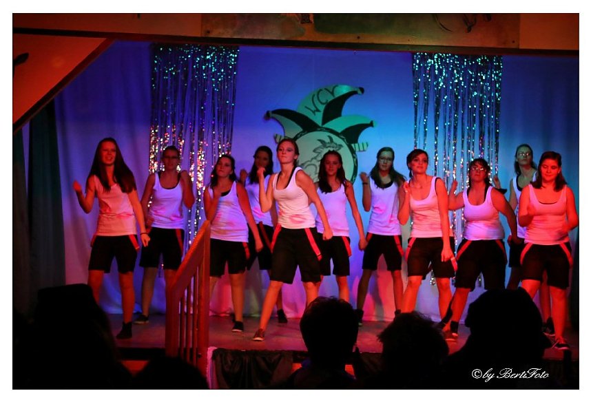 Karneval in W&uuml;lfingerode