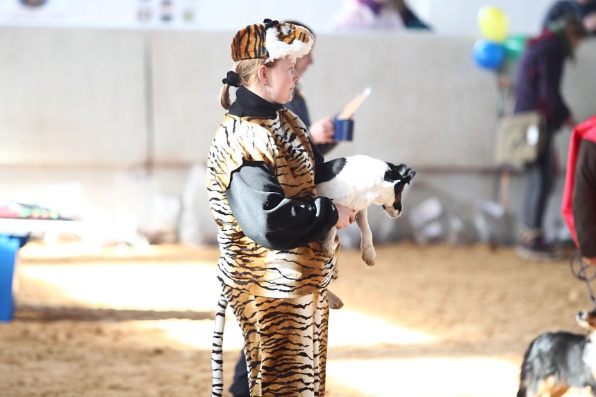 Hundesport und Faschingskost&uuml;m