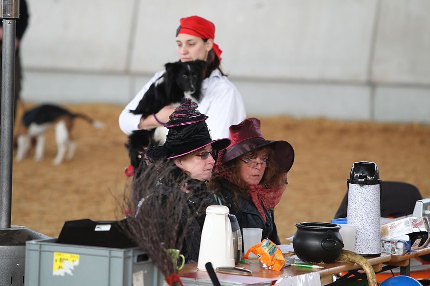 Hundesport und Faschingskost&uuml;m
