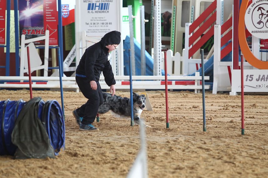 Hundesport und Faschingskost&uuml;m