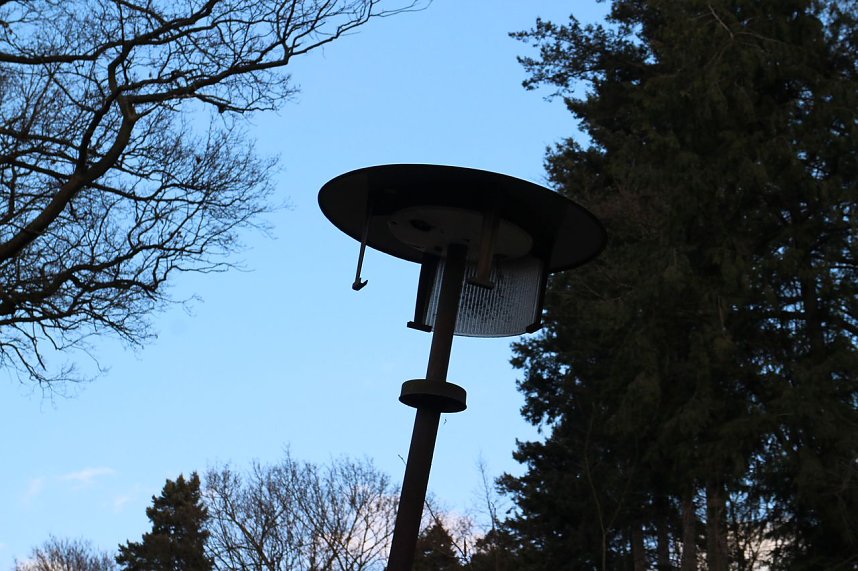 Es gibt noch viel zu tun - im Park