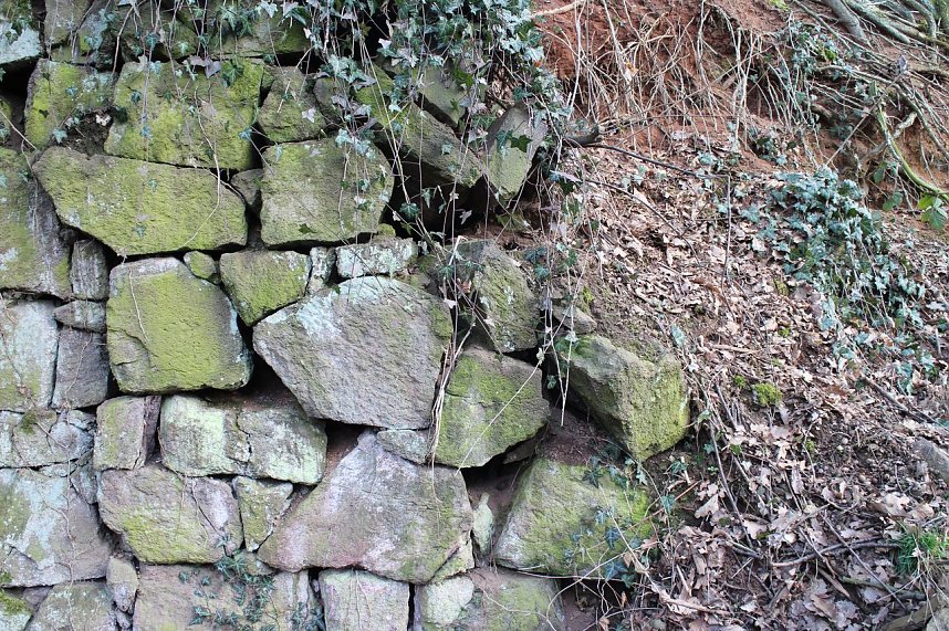 Es gibt noch viel zu tun - im Park